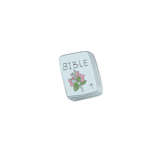 Bible Pin